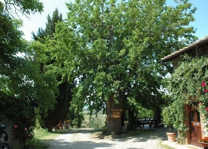 팜스테이 Relais Poggio Primo